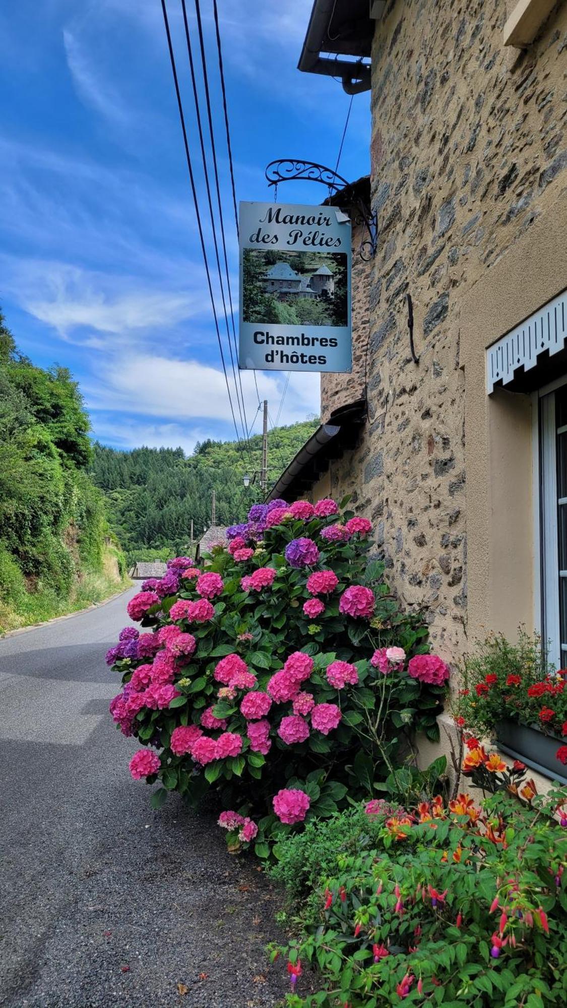 Manoir Des Pelies Spa Conques Exteriör bild