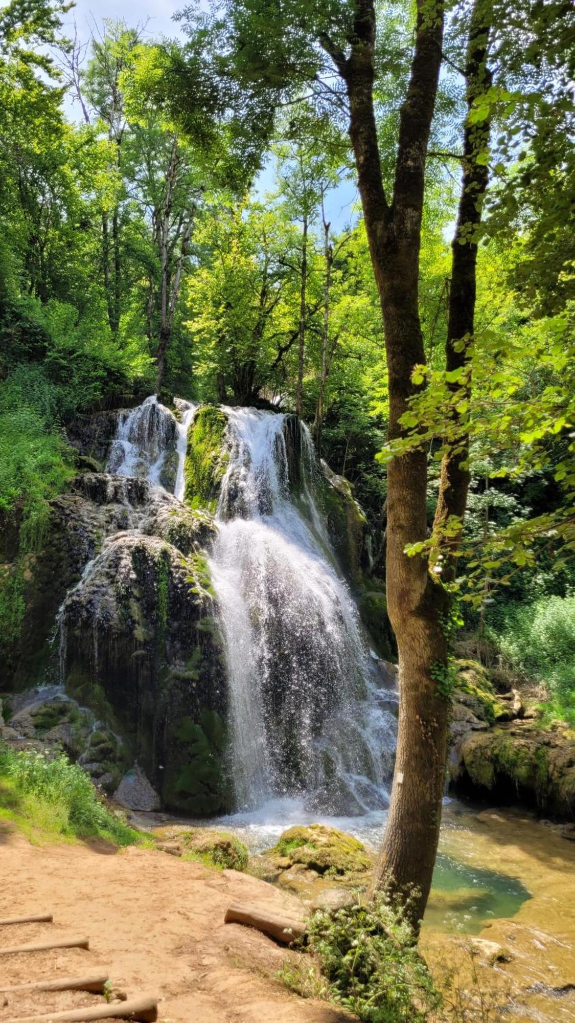 Manoir Des Pelies Spa Conques Exteriör bild